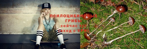 гашишное масло Заводоуковск