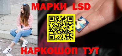 гидропоника Гусев