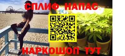 apvp Будённовск