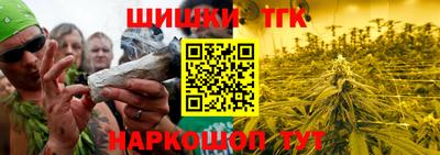 прущие грибы Гусиноозёрск