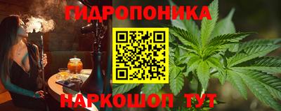 прущие грибы Гусиноозёрск