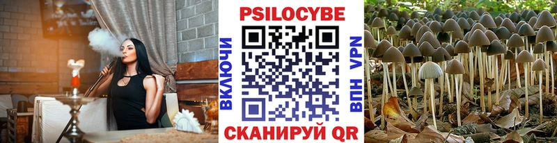 Галлюциногенные грибы Psilocybe  наркота  Ишимбай 