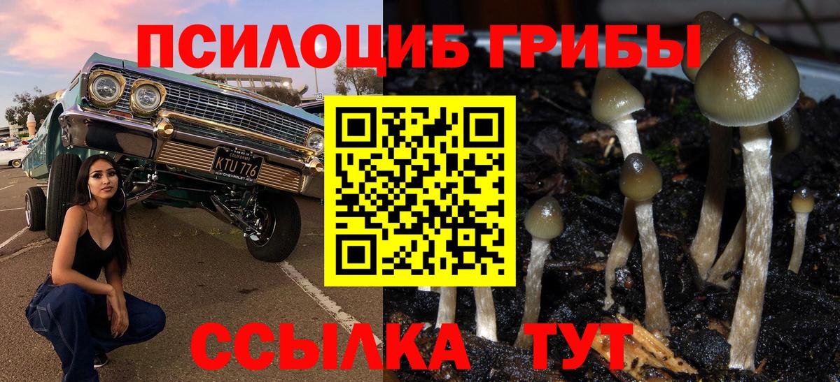 Псилоцибиновые грибы мухоморы Ишимбай