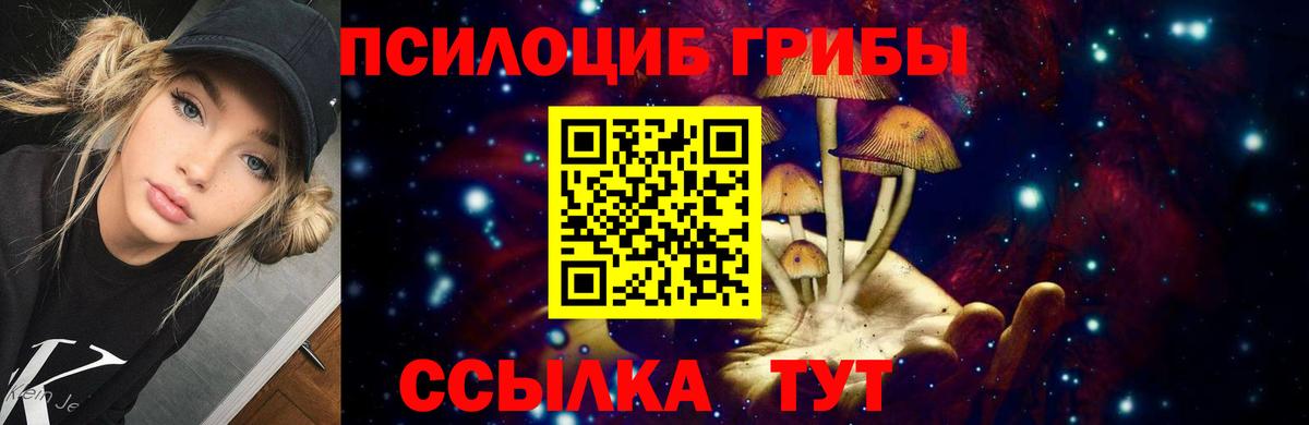 Ишимбай  Псилоцибиновые грибы MAGIC MUSHROOMS  Псилоцибиновые грибы GOLDEN TEACHER  Вход с VPN 